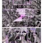 [3D互动/全动态/丰乳肥臀] 虚拟的爱欲：维纳斯 Virtual Sox Venus Sailor 完整版 [百度/全CV/7G]